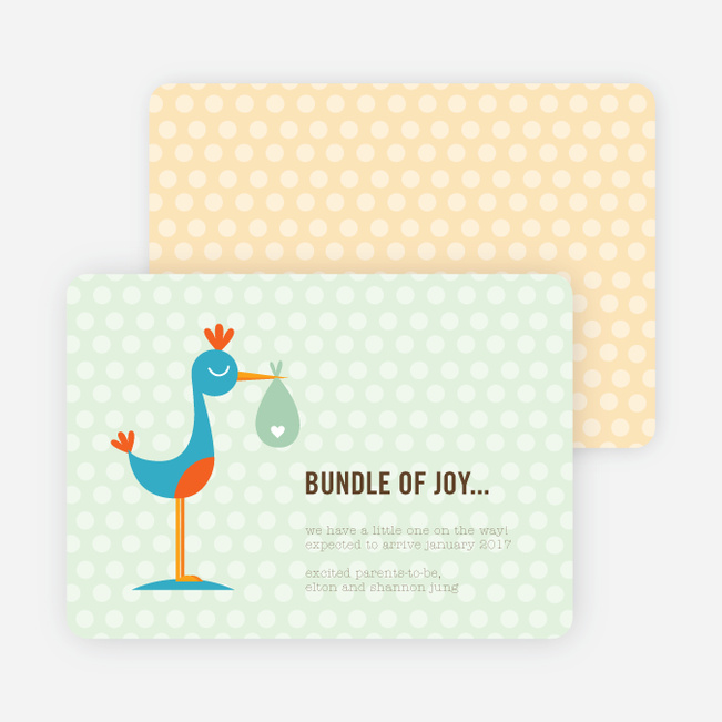 Stanley the Stork Pregnancy Announcement Cards - Lime Salt