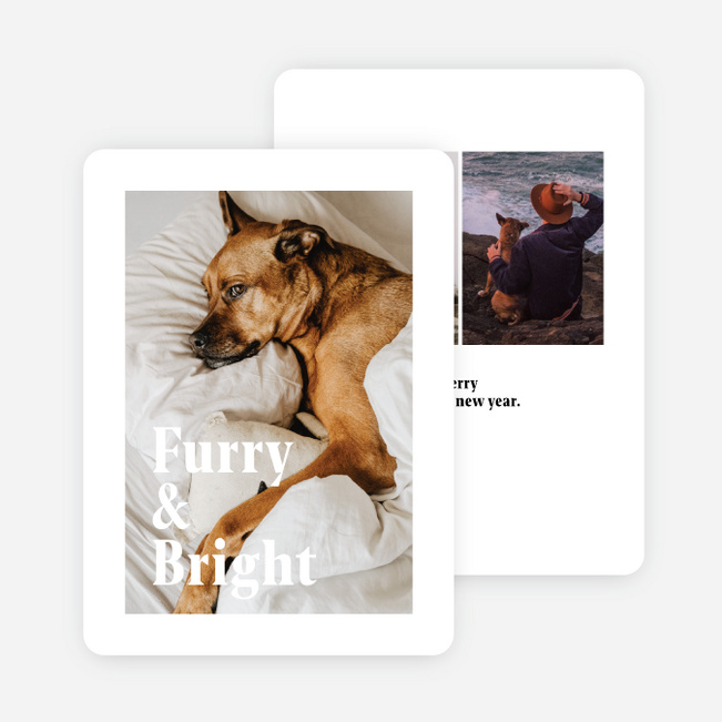 Furry & Bright Multi Photo Holiday Cards - White