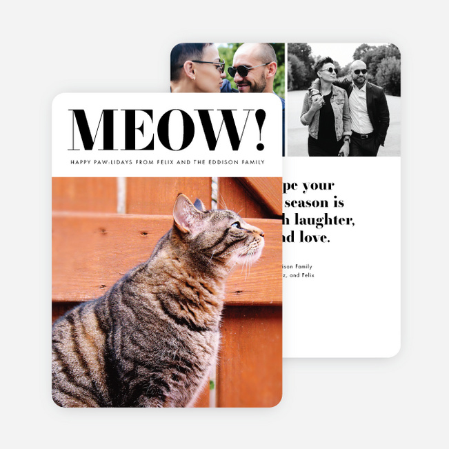 Feline Headline Multi Photo Holiday Cards - Black
