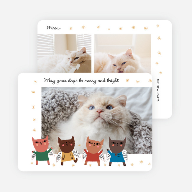 Kitty Angels Christmas Cards - Multi