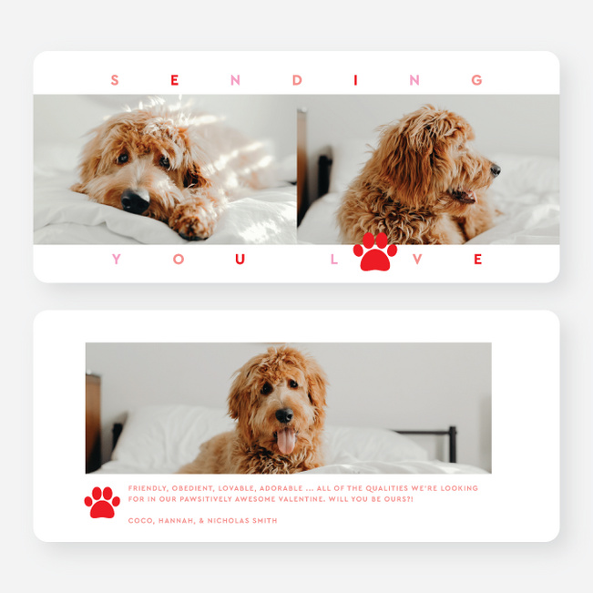 Woof you be mine? Valentine’s Day Cards - White