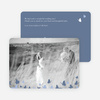 Butterfly Thank You Cards - Blue