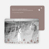 Butterfly Thank You Cards - Brown