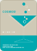 Cosmopolitan Party Invitations - Turquoise