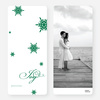 Falling Snowflakes Holiday Cards - Green