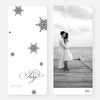 Falling Snowflakes Holiday Cards - Gray
