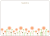 Notecards for the ‘Spirograph Flowers’ cards. - Apricot