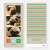 J*Y Holiday Cards - Orange