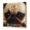 Rainbow Bamboo Wall Panels - Carnation