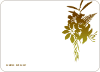 Personal Stationery for Modern Bouquet Announcement and Invitation - Lime