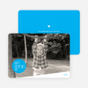 Picture is Worth a Thousand Words Valentine’s Day Card - Curious Blue