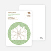 Spiral House Moving Cards - Bamboo