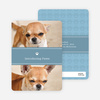 2 Photo Dog Cards - Blue