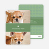2 Photo Dog Cards - Green