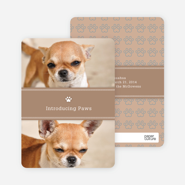 puppy cards pet cards paper culture puppy cards pet cards paper culture