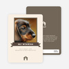 Dog Story Card - Brown