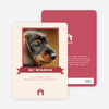 Dog Story Card - Red