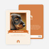 Dog Story Card - Orange
