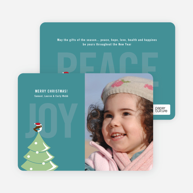 Not just For the Birds Holiday Cards - Teal