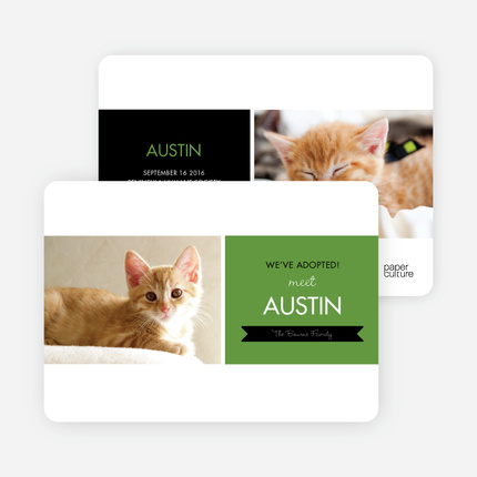Pet Adoption Cards - Green