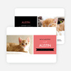 Pet Adoption Cards - Pink