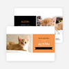 Pet Adoption Cards - Orange