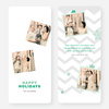 Chevron Pattern Snowflake Holiday Cards - Green