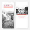 Shine On Holiday Cards - Red