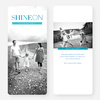 Shine On Holiday Cards - Blue