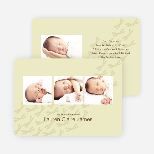 Bzzz and Zzzz Dragonfly Baby Announcement - Khaki