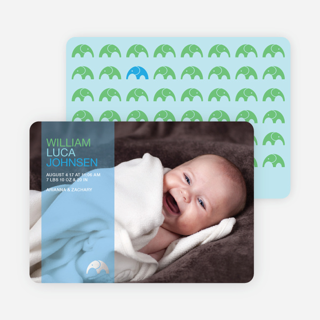 simply photos find the elephant modern baby announcement paper spring baby announcements