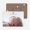 1 Little Bear - Cocoa