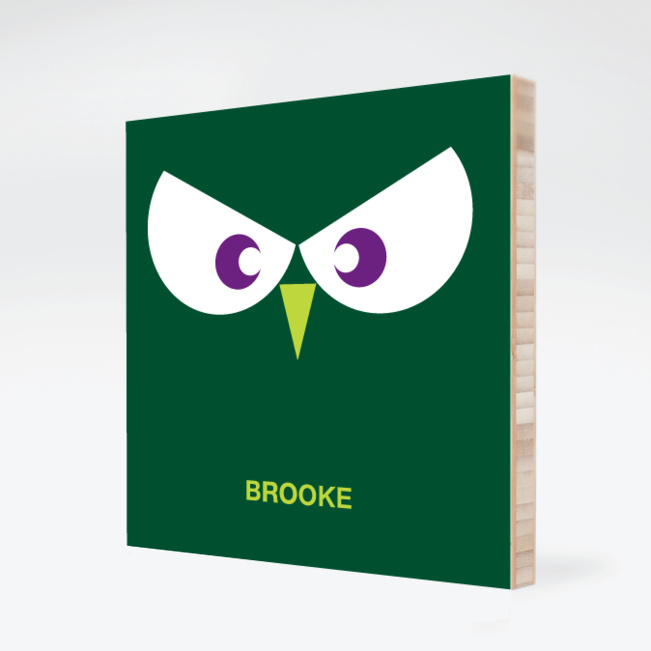 Owl Face Modern Wall Art - Forest Green