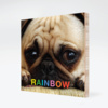 Rainbow Bamboo Wall Panels - Carnation