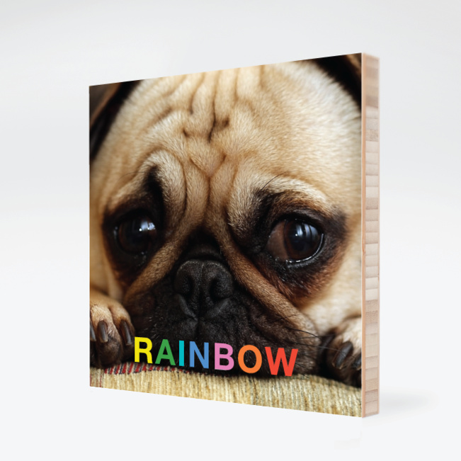 Rainbow Bamboo Wall Panels - Carnation