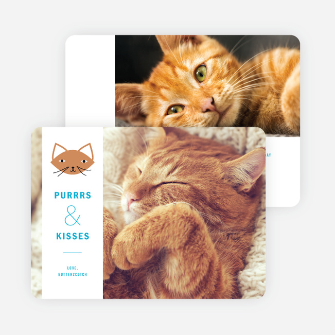 Purrs and Kisses Holiday Cards - Blue