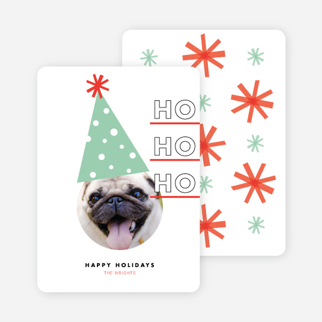 Dog Party Hat Holliday Cards - Green