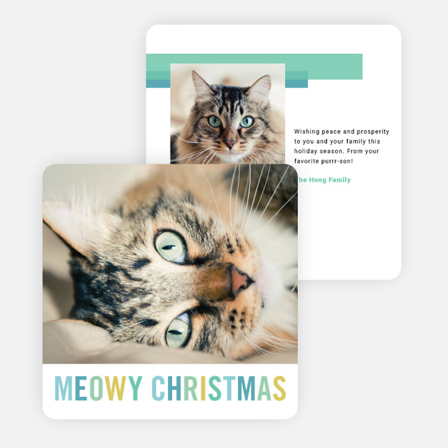 Meowy Christmas Christmas Cards - Blue