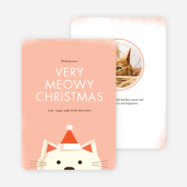 Warm and Meowy Christmas Cards - Pink