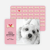 Furry Dog Holiday Cards - Pink