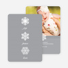 Unique Snowflake Holiday Cards - Gray