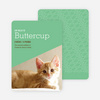 Kitty Cat Cards - Green
