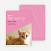 Kitty Cat Cards - Pink