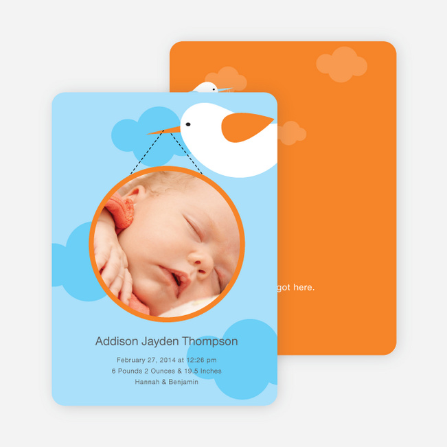 Stork Photo Baby Announcement - Sky Blue