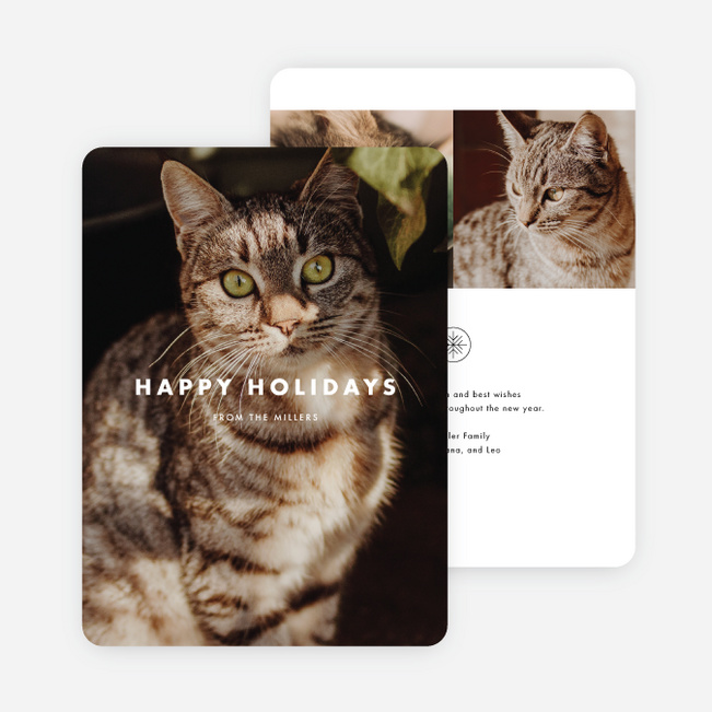 Photo Impression Holiday Cards - Black