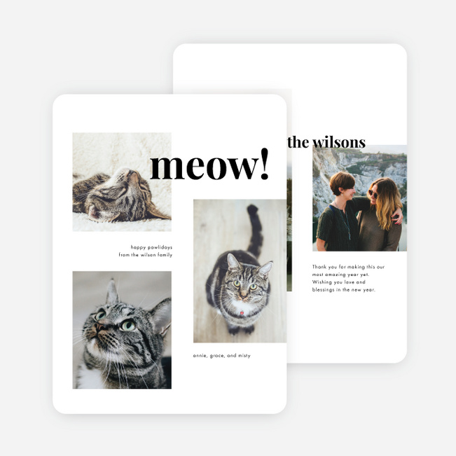 All Meow Pet Holiday Cards - White