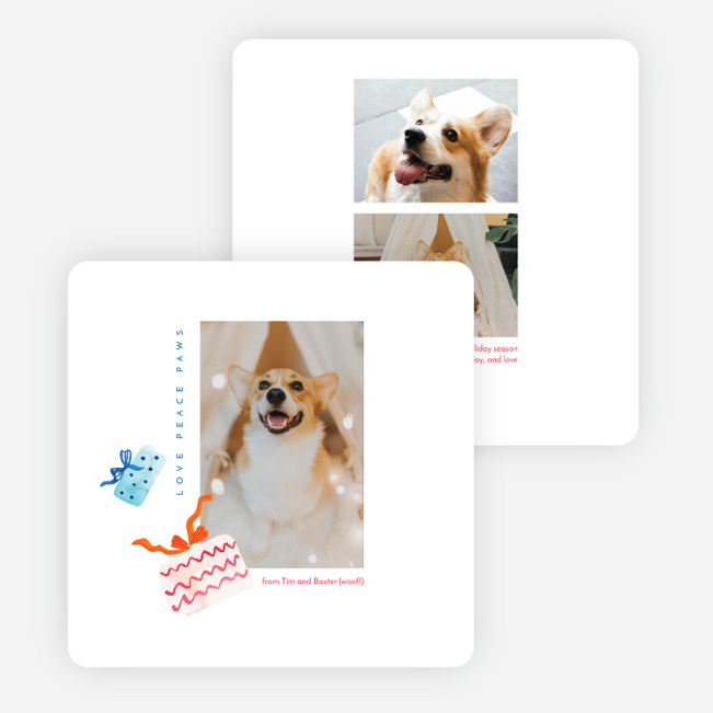 Love Peace Paws Multi Photo Holiday Cards - Multi