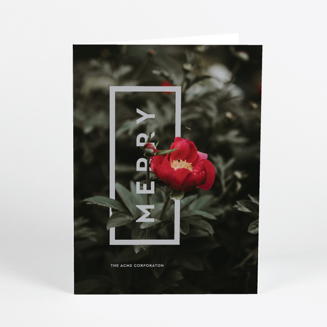 Merry Blossom Corporate Holiday Cards - Black