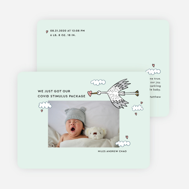 Stork Package Birth Announcements - Green