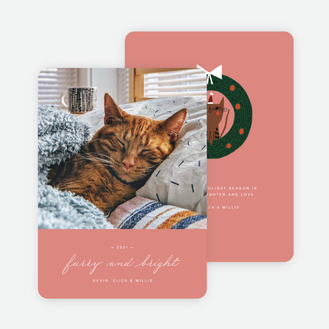 Feline Fine Pet Holiday Cards - Pink